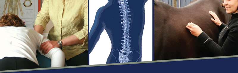 Helarion Energetic Alignment